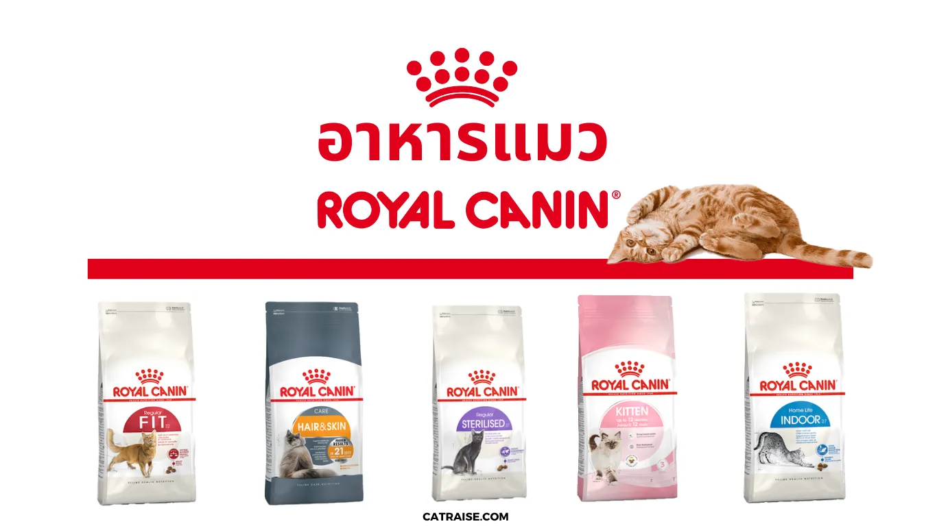 อาหารแมว Royal Canin