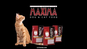 อาหารแมว Maxima